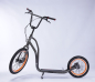 Preview: Bodyswiss Falk 2 Alu grau/Pneu