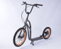 Preview: Bodyswiss Falk 2 Alu grau/Pneu