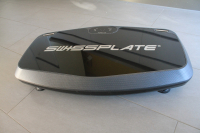 WR2020 carbon die Allrounderin in grau