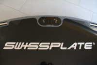 WR2020 carbon die Allrounderin in grau