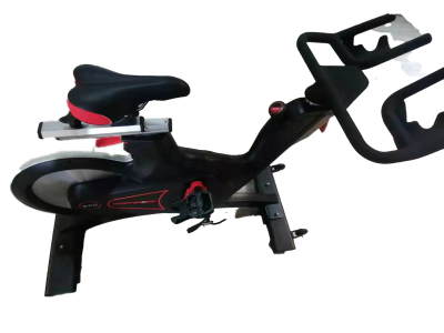 Bodyswiss SBN200M